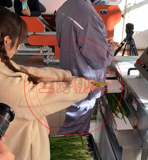 切菜機(jī)切菜效果 切菜機(jī)切菜效果