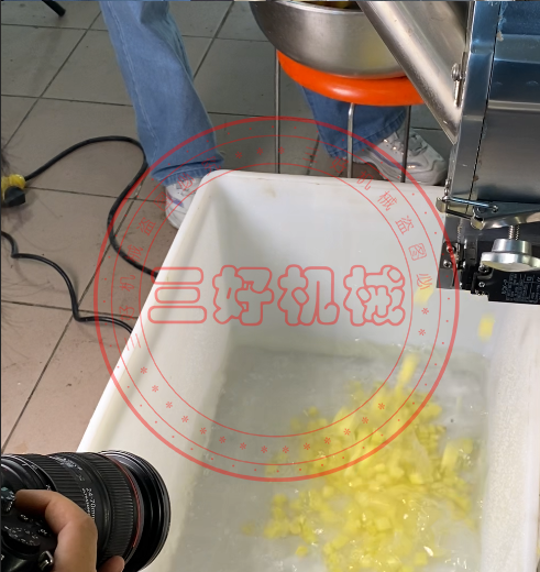 切菜機(jī)切丁效果 切菜機(jī)切丁效果