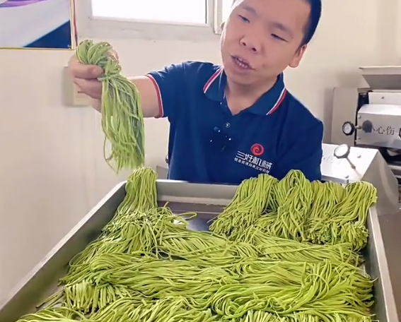 鮮面怎么做果蔬面條機 鮮面怎么做果蔬面條機