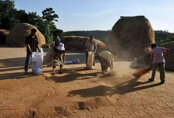 年輕人花拳繡腿，吹噓用包子機可以做老面包子？