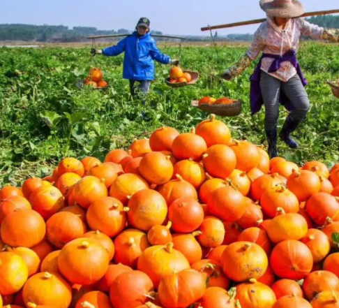 1719795136111882.png image.png