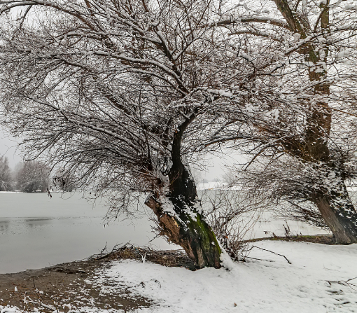 1732149640487170.png image.png